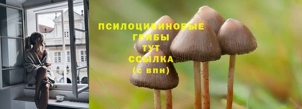 прущий лед Медногорск