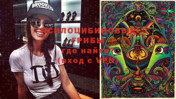 ГАЛЛЮЦИНОГЕННЫЕ ГРИБЫ Магадан